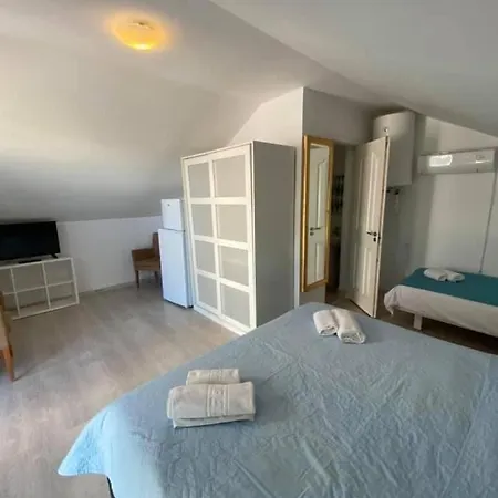 Pensiunea Promenada Mamaia Nord *
